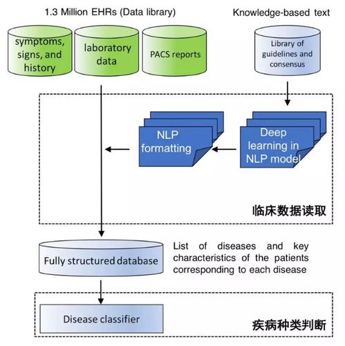 中國AI登上Nature子刊 讀懂病歷、推薦診斷，準確度超越人類醫生